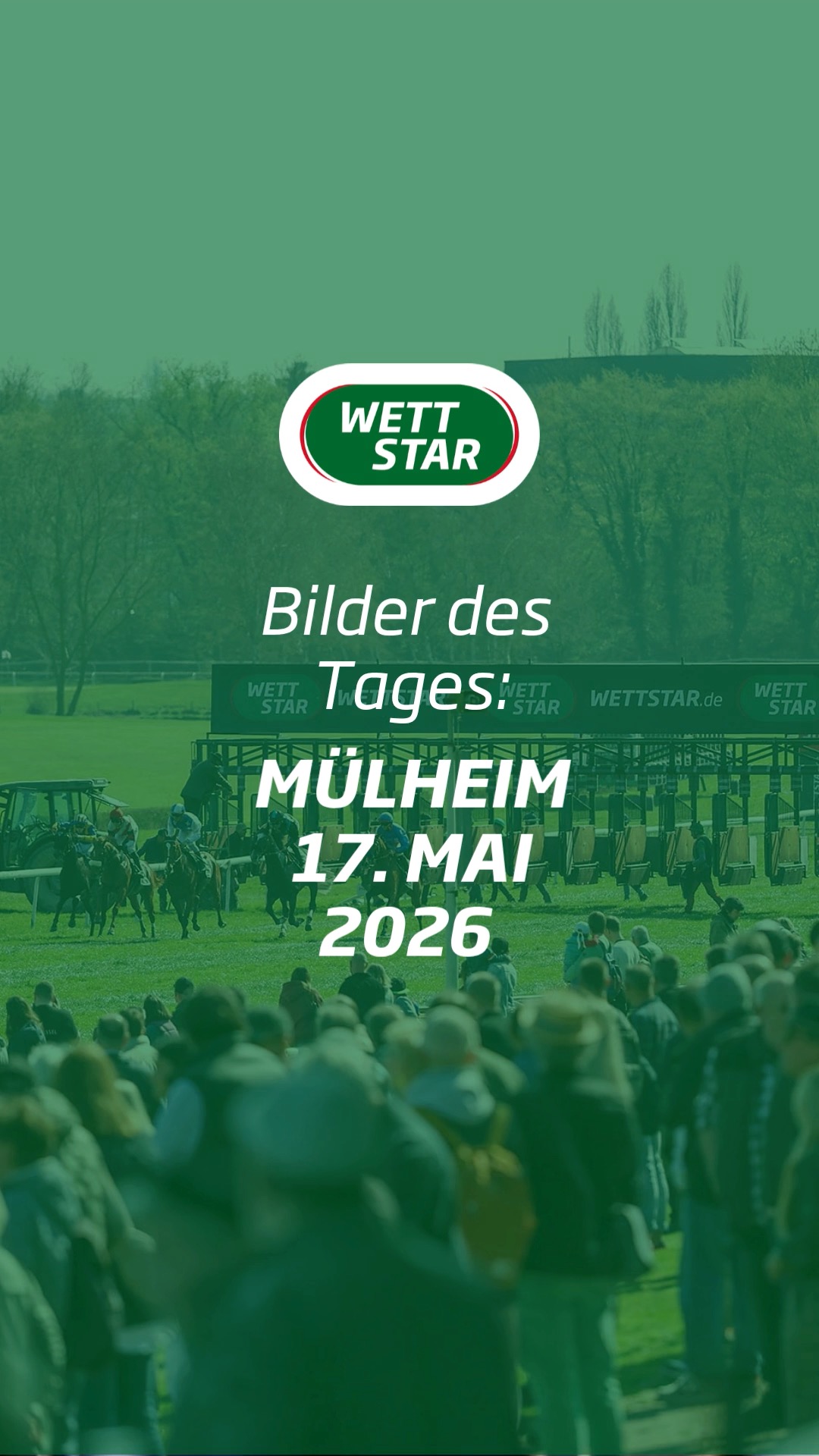 Letzte Woche stand ein kurzweiliger schöner Renntag in Mülheim auf dem Plan....