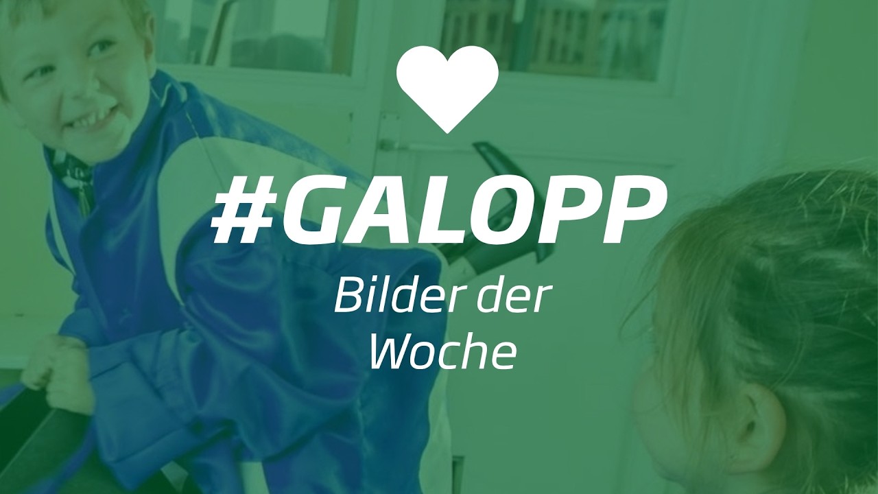 Die Bilder der Woche #galopp KW34