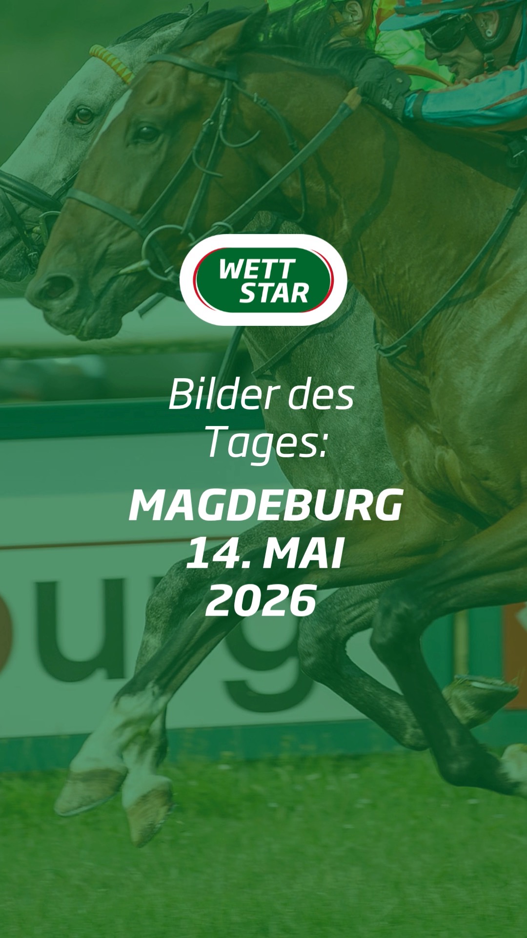 An Christi Himmelfahrt wird traditionell in Magdeburg ein spannender Renntag veranstaltet 🤩...