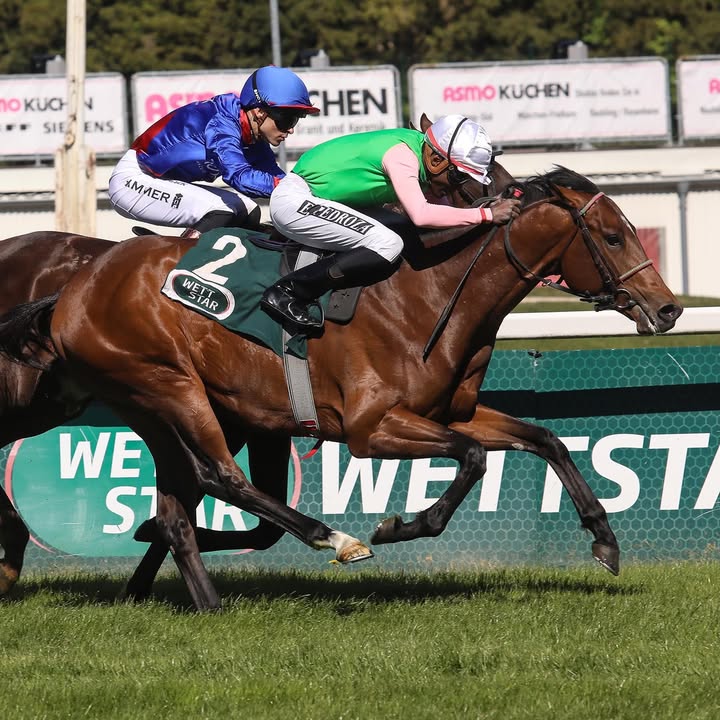 Jetzt ist es offiziell: GOSTAM wird im IDEE 157. Deutschen Derby in...
