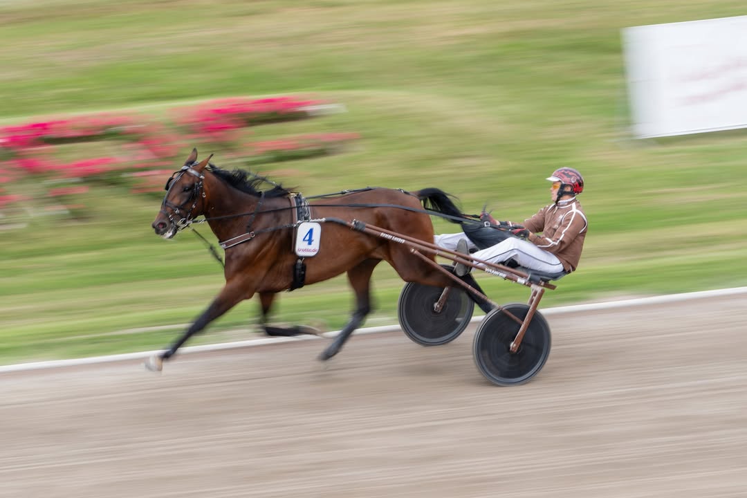 Natürlich gibt es auch bei der Highlight-V86 am Mittwoch in Jägersro und...