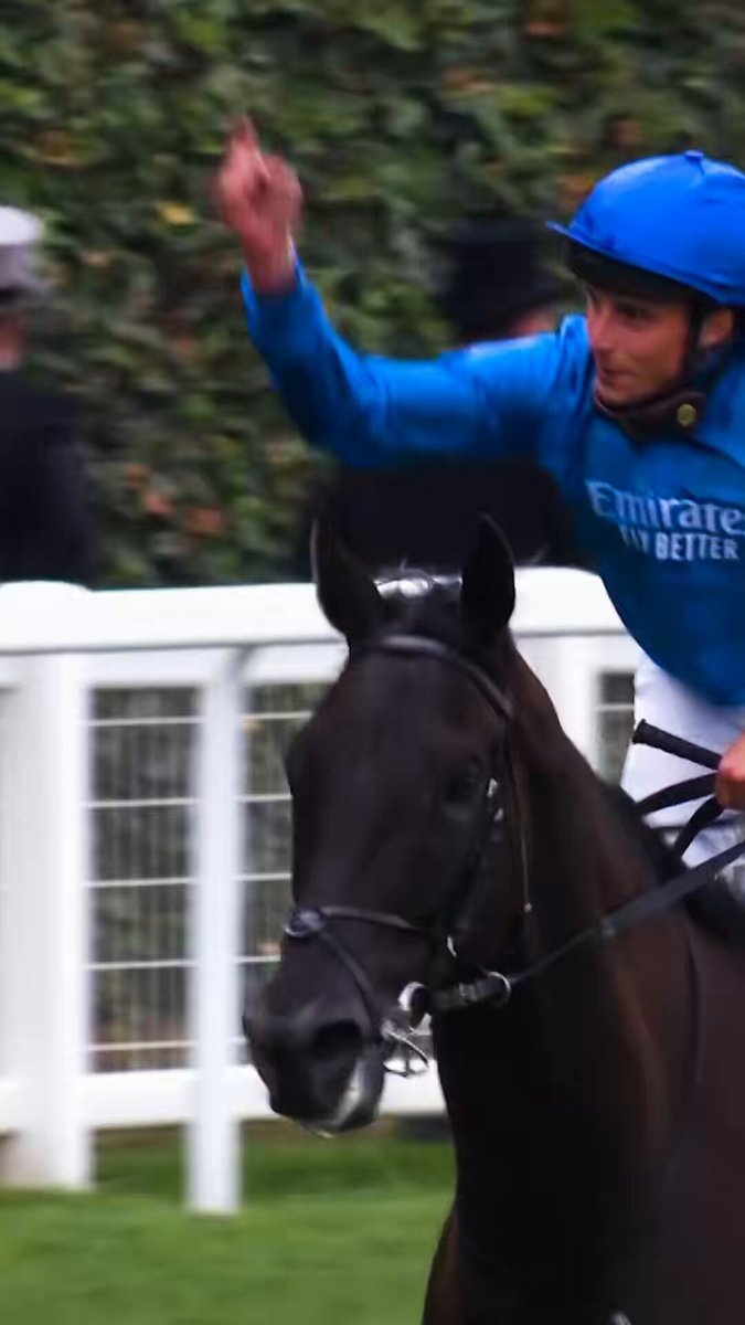 RT by @wettstar_de: Thank you Rebel's Romance! 💙  #TeamGodolphin's globetrotting nine-time G1 winner has retired from racing!🏇