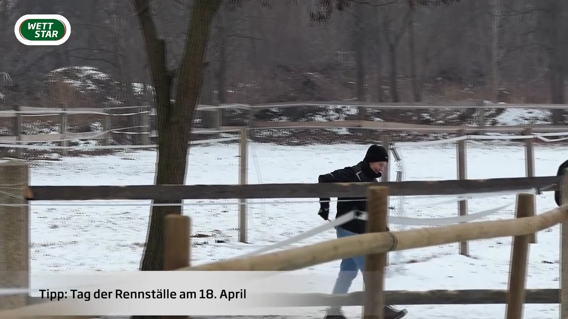 Wir haben Carmen Bocskai an ihrem neuen Trainingsstandort in Dresden besucht 🍀...