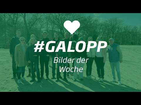 Die Bilder der Woche #galopp KW13