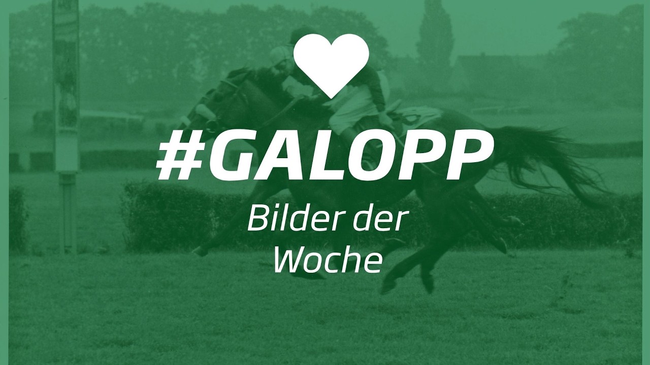 Die Bilder der Woche #galopp KW30