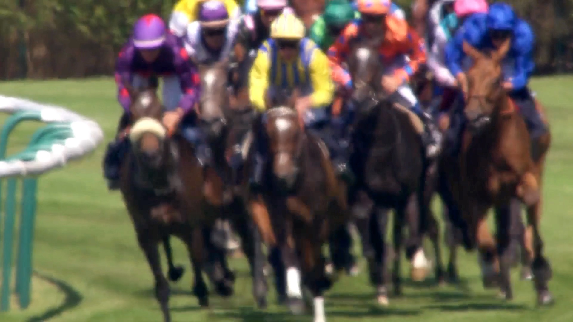 Am Sonntag ist es soweit: der Qatar Prix de l'Arc de Triomphe...