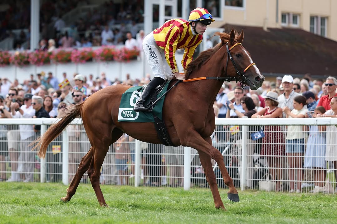 16 Kandidaten wurden am heutigen Donnerstag als Starter für den Qatar Prix...