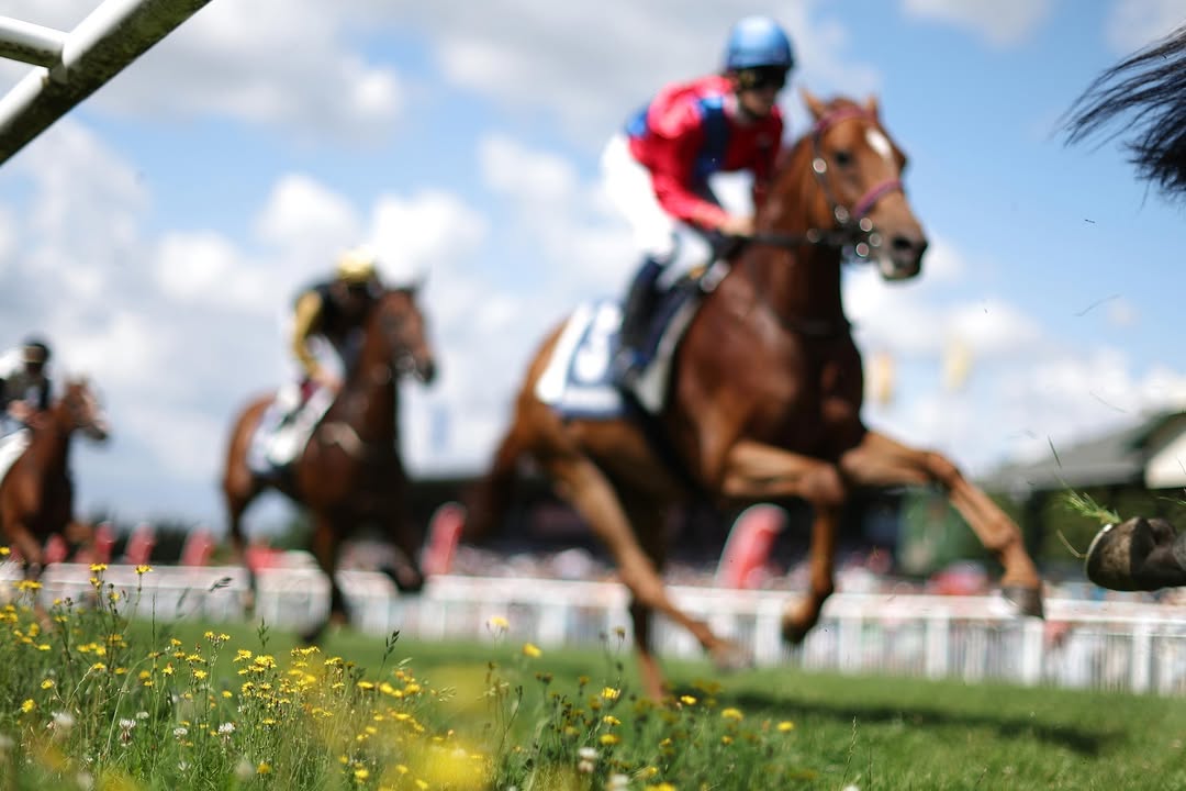 Das ganze Team WETTSTAR wünscht euch FROHE OSTERN! 💐 Mit spannenden und...