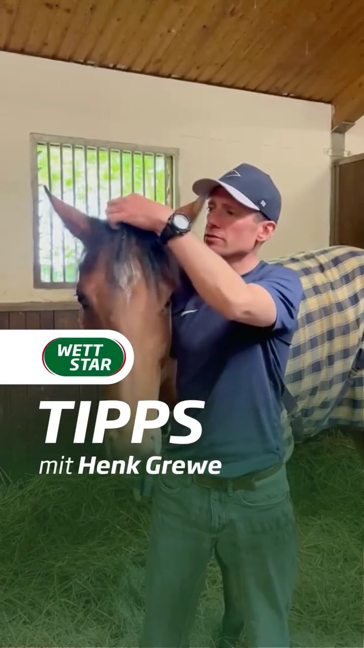 Henk Grewe ist am Wochenende mit 4 Startern in Düsseldorf und Krefeld...