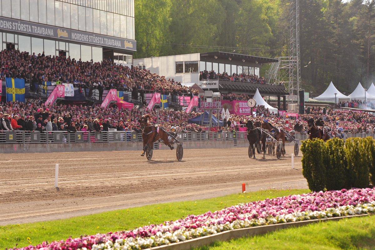 Zum Elitloppet am 31. Mai präsentiert http://WETTSTAR.de exklusive Artikel im Bonusprogramm - Alle Infos hier: https://wettstar-pferdewetten.de/page/bonusprogramm