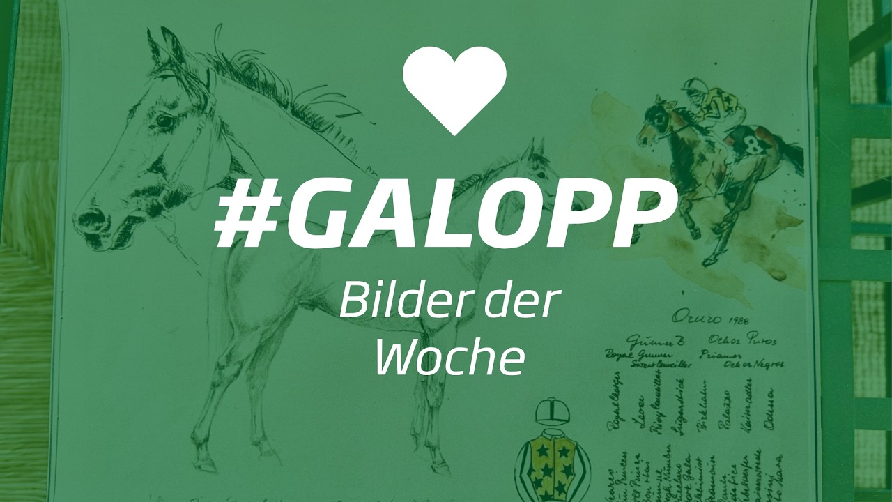 Die Bilder der Woche #galopp KW42