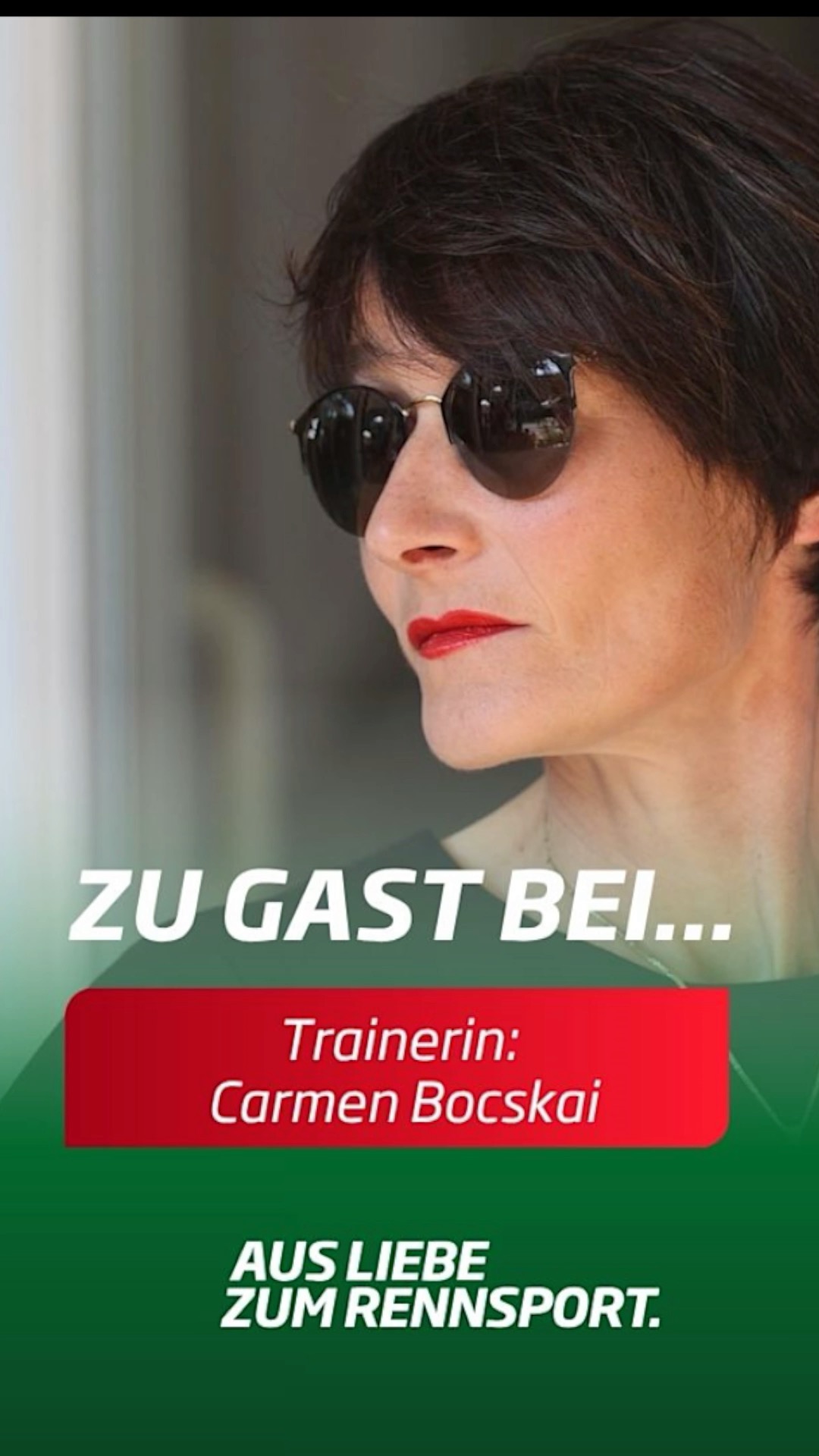 Nachdem wir die neue Studie der Bundesregierung für das antrainieren zweijähriger Pferde...