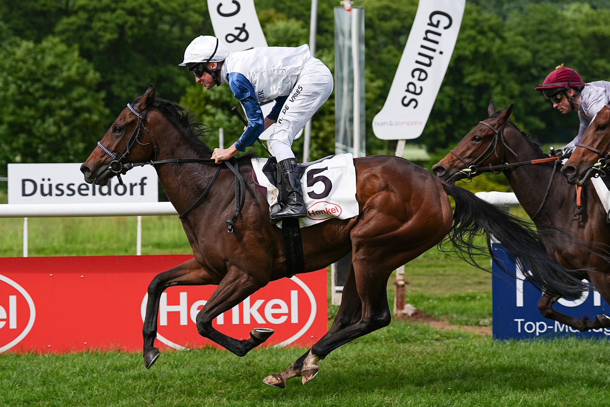 Start zu einer neuen Wette im deutschen Galopprennsport, der „QUINTETT"-Wette, am 31. Mai 2026 in Düsseldorf. Alle Infos auf http://WETTSTAR.de. Ab 18 Jahren | Pferde­wetten-Anbieter gemäß White-List | Glücksspiel kann süchtig machen | Hilfe unter http://buwei.de