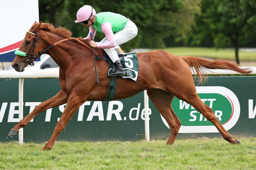 Noch am Sonntag gewann Trainer Henk Grewe beide Grupperennen in Baden-Baden. Seine...