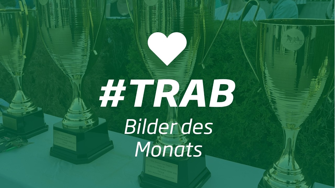 Bilder des Monats #trab August