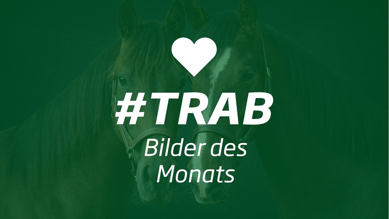 Bilder des Monats #trab September