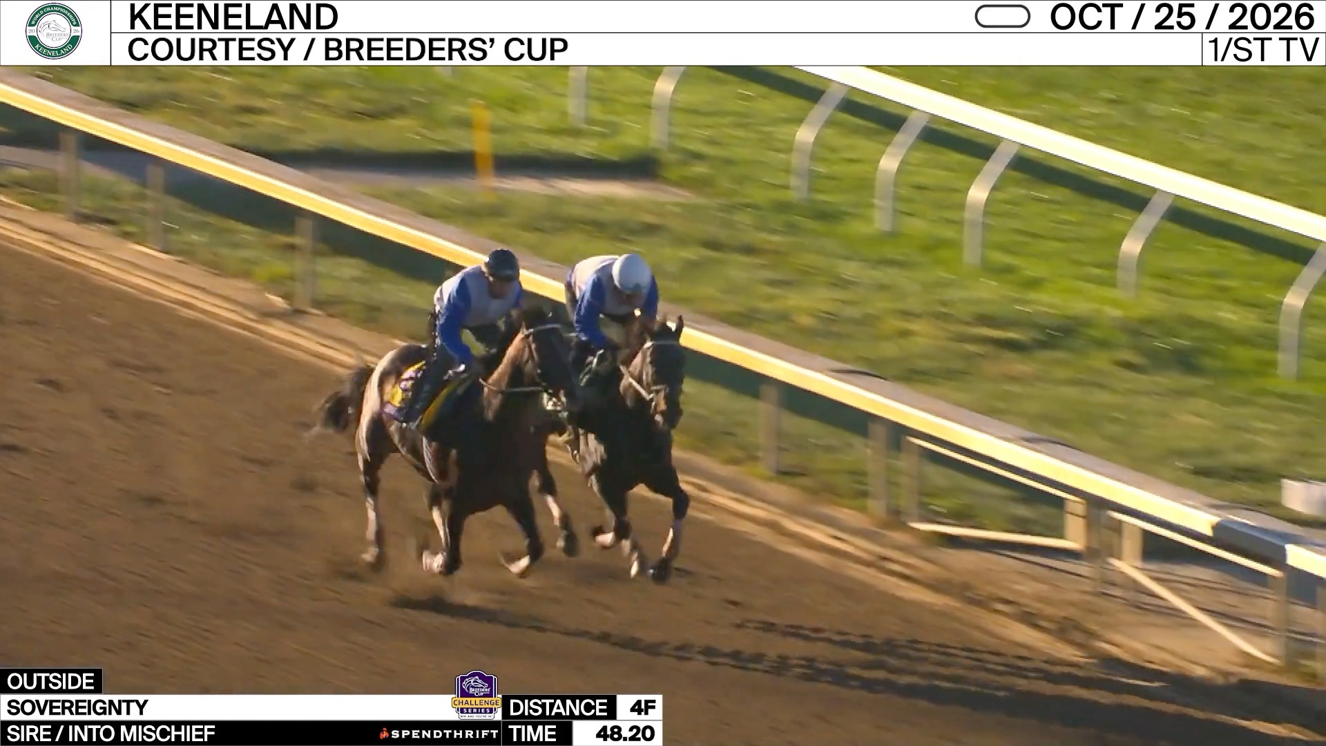 Nachdem das Horse of the Year 2025 SOVEREIGNITY im letzten Jahr kurzfristig...