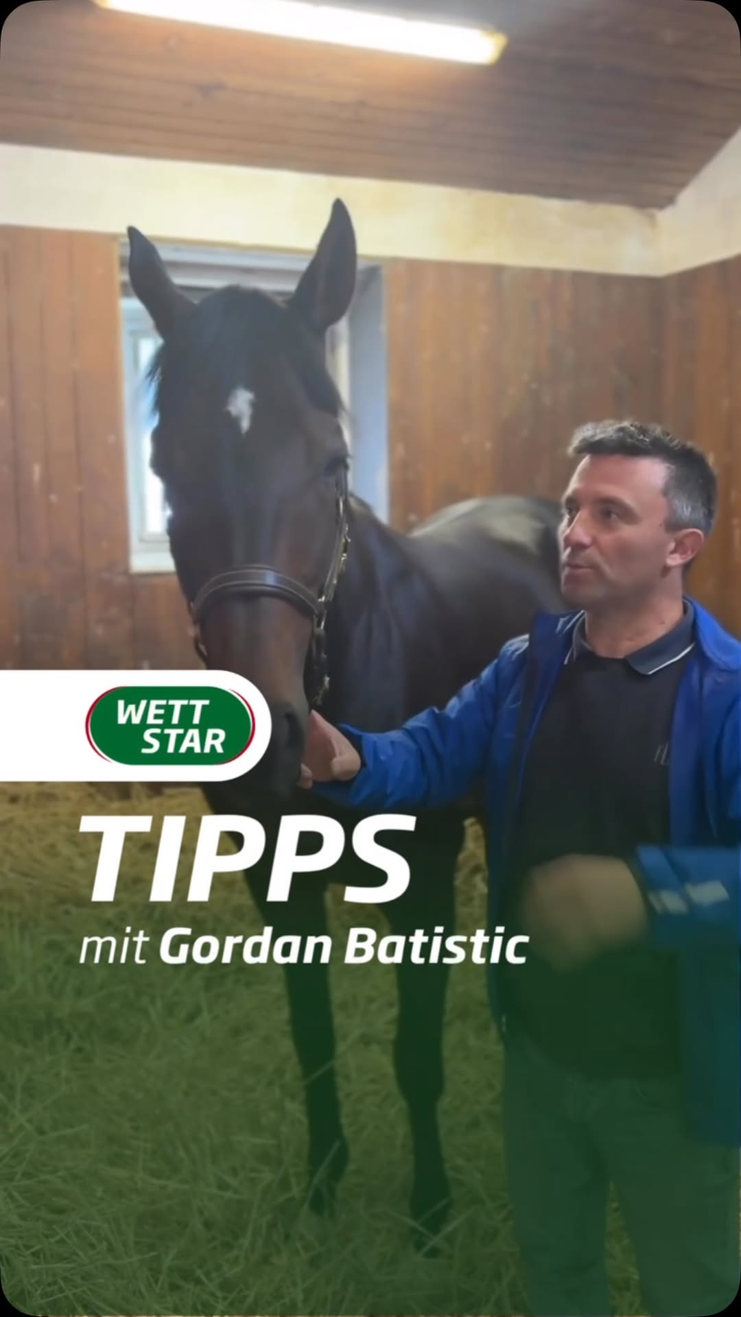 Morgen startet der erste Renntag des Sales & Racing Festivals, bevor es...