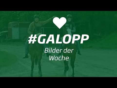 Die Bilder der Woche #galopp KW16