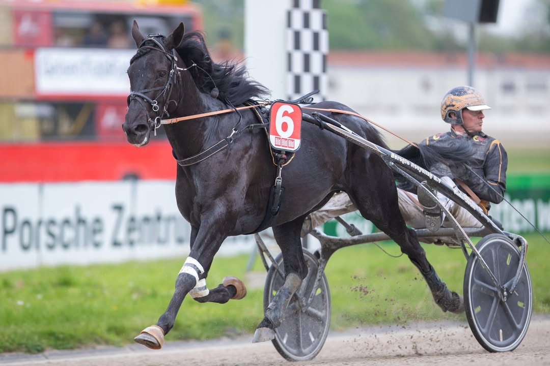 Die Einladung ist angenommen: Gio Cash tritt am 12. September beim mit...