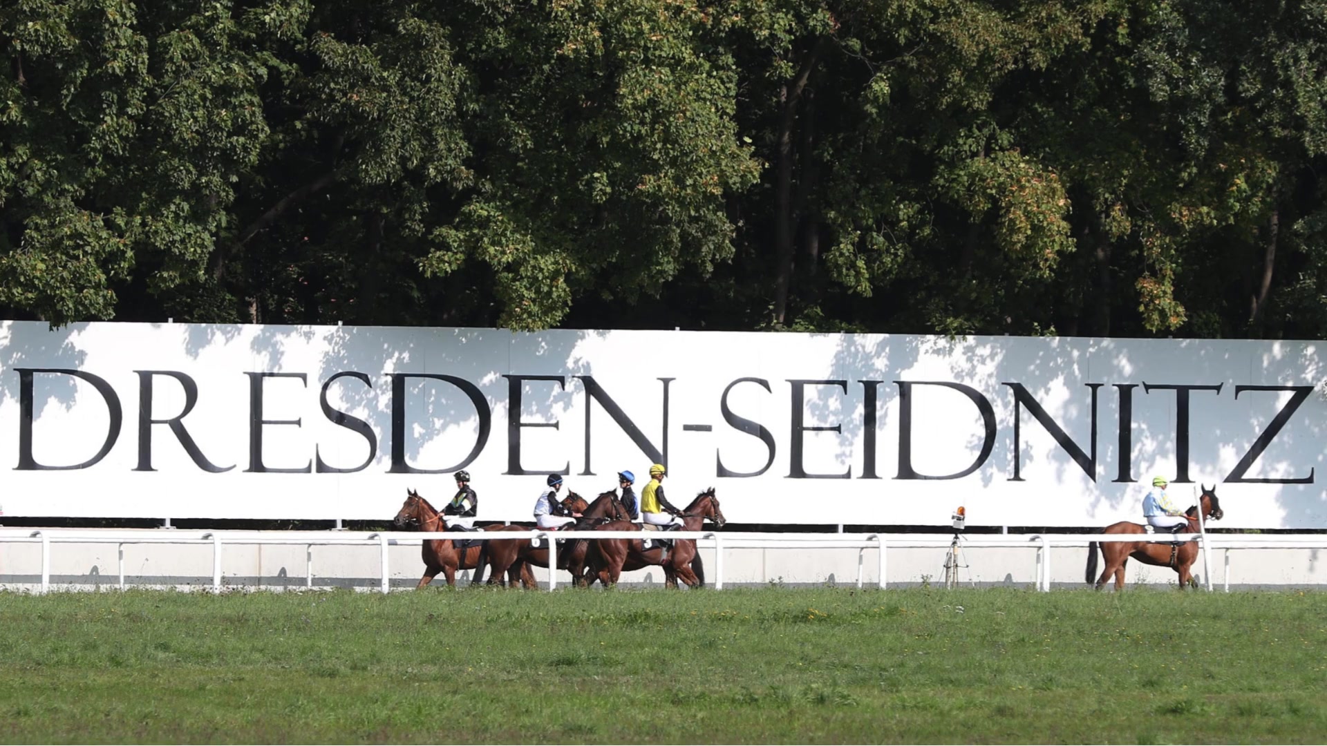 Vergangenen Samstag ist auch der Dresdner Rennverein in die Rennsaison 2026 gestartet....
