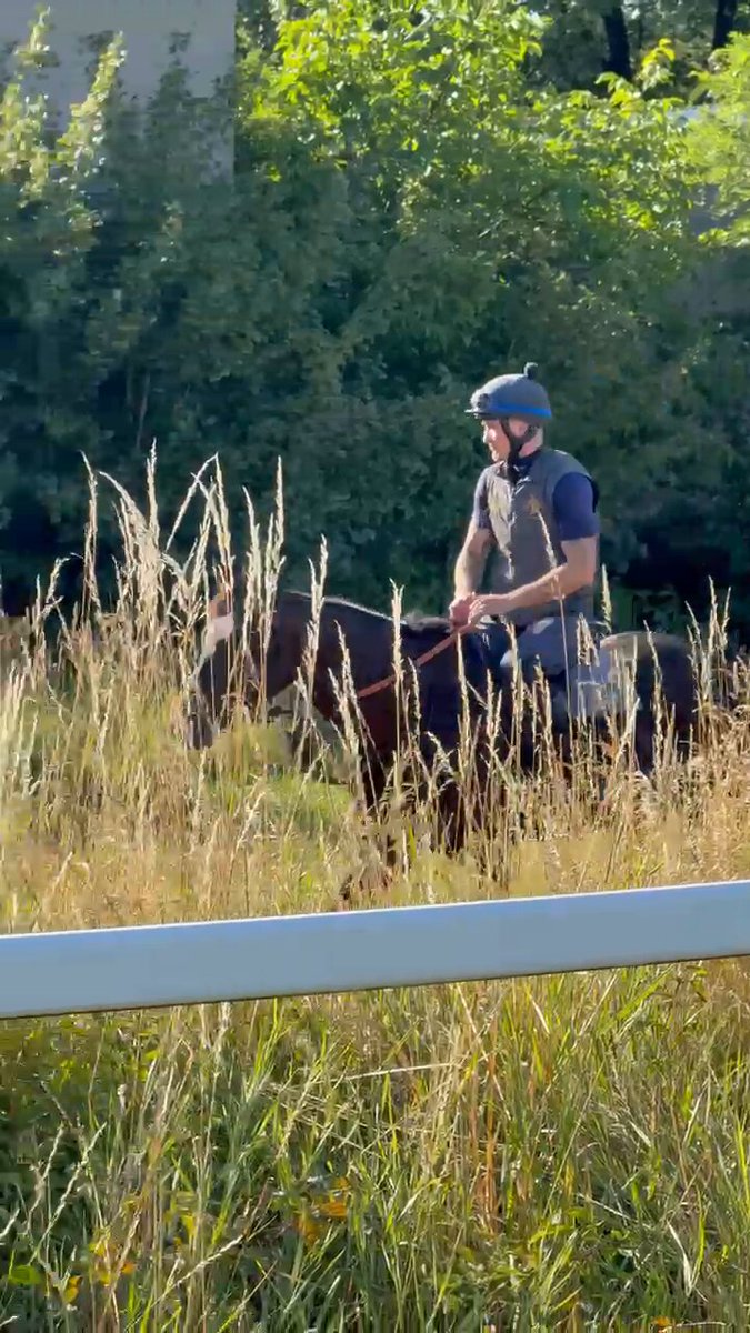 RT by @wettstar_de: RT by @wettstar_de: Pats for WIMBLEDON HAWKEYE ahead of Sunday’s G1 Grosser Preis Bayerisches Zuchtrennen! 😍 #WorldPool | @GScottracing