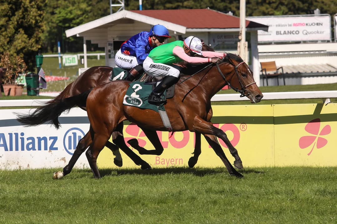 Gostam, der Spitzenzweijährige von 2025 und Gewinner des WETTSTAR.de - Bavarian Classic...
