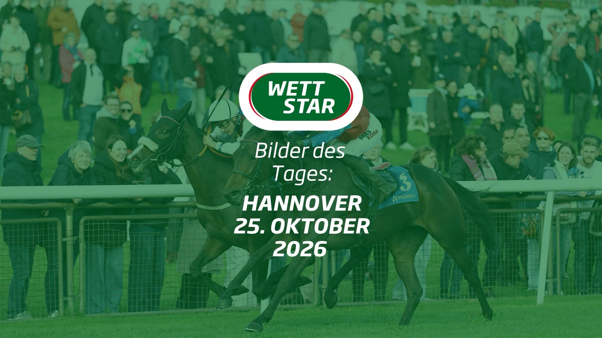 Hannover hat am vergangenen Sonntag mit dem Renntag der Gestüte das Saisonfinale...