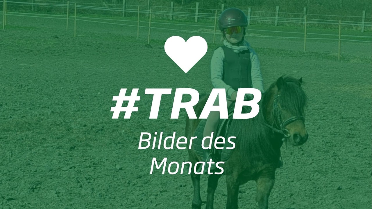 Bilder des Monats #trab Juni