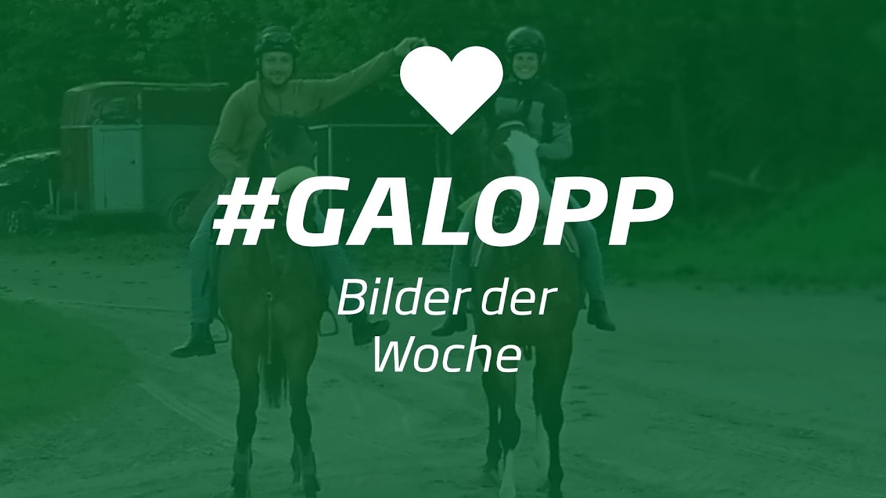 Die Bilder der Woche #galopp KW16