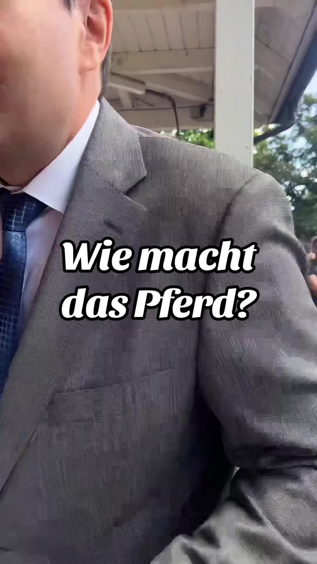 Doch, so klingen die wirklich! 🤷🏼‍♀️😂 #wiemachtdaspferd #pferd #fun #trend #galopp @badengalopp @Thorsten Castle