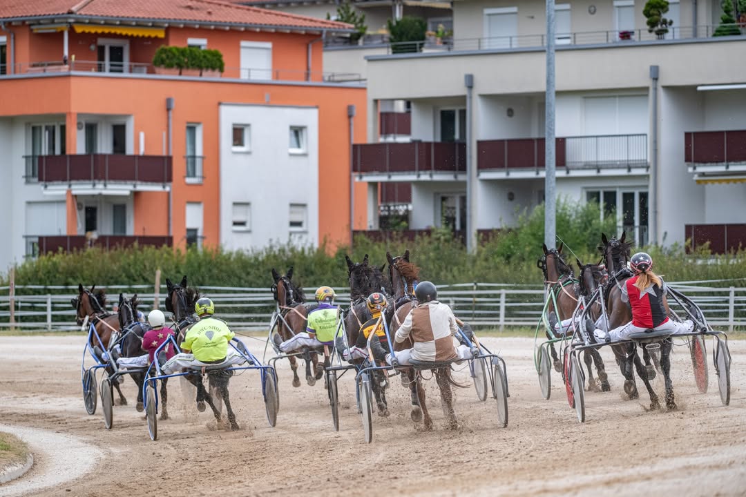 Vorschau Straubing-Renntag Donnerstag, 1. Oktober 2026 (trab-sr). Der Sommer ist vorbei –...