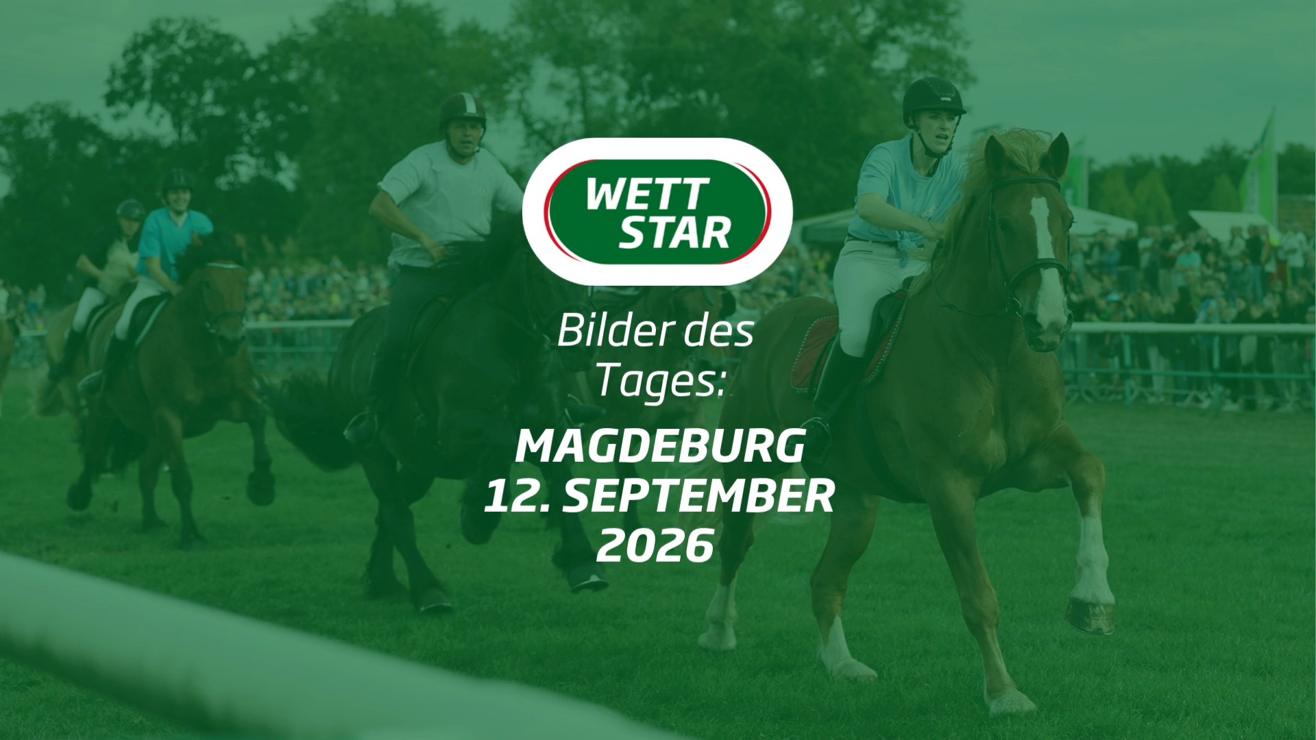 Am Samstag stand im Magdeburger Herrenkrug bereits das Saisonfinale an. Eingerahmt von...