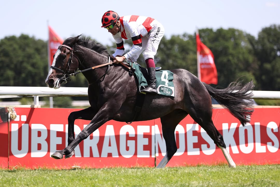 Top-Donnerstag in ParisLongchamp: Steher-Qualitäten werden heute im Prix Gladiateur (Gruppe III, 73.200...