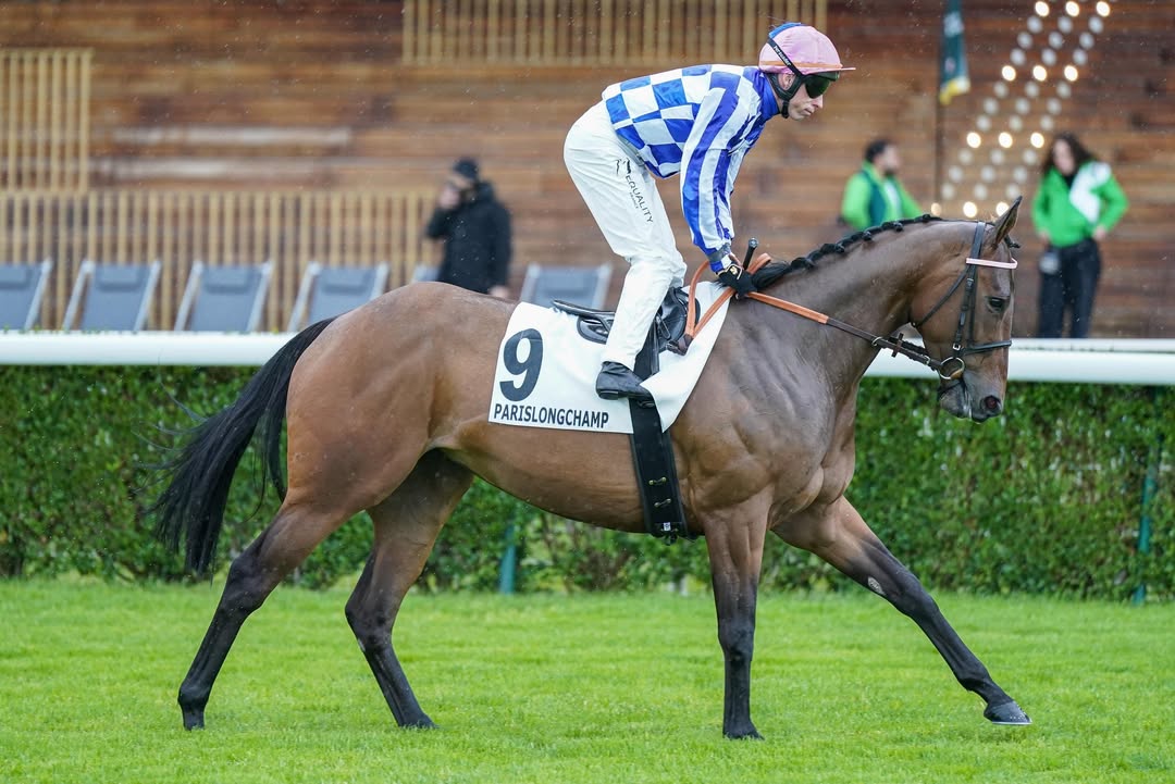 Natürlich gibt es am Donnerstagabend in ParisLongchamp auch eine Quinté+-Wette – im...