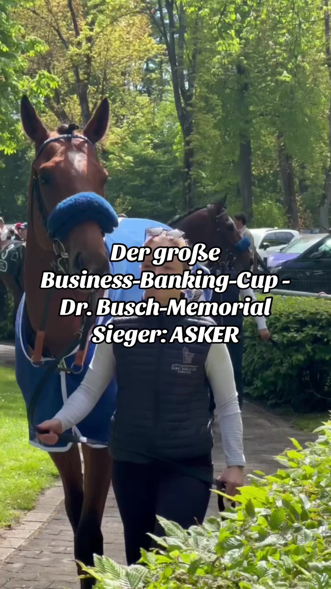 Highlightrennen pt 2 Der große Business-Banking-Cup - Dr. Busch-Memorial (Gruppe III) Sieger: ASKER Jockey: Leon Wolff Trainer: Henk Grewe Besitzer: D...
