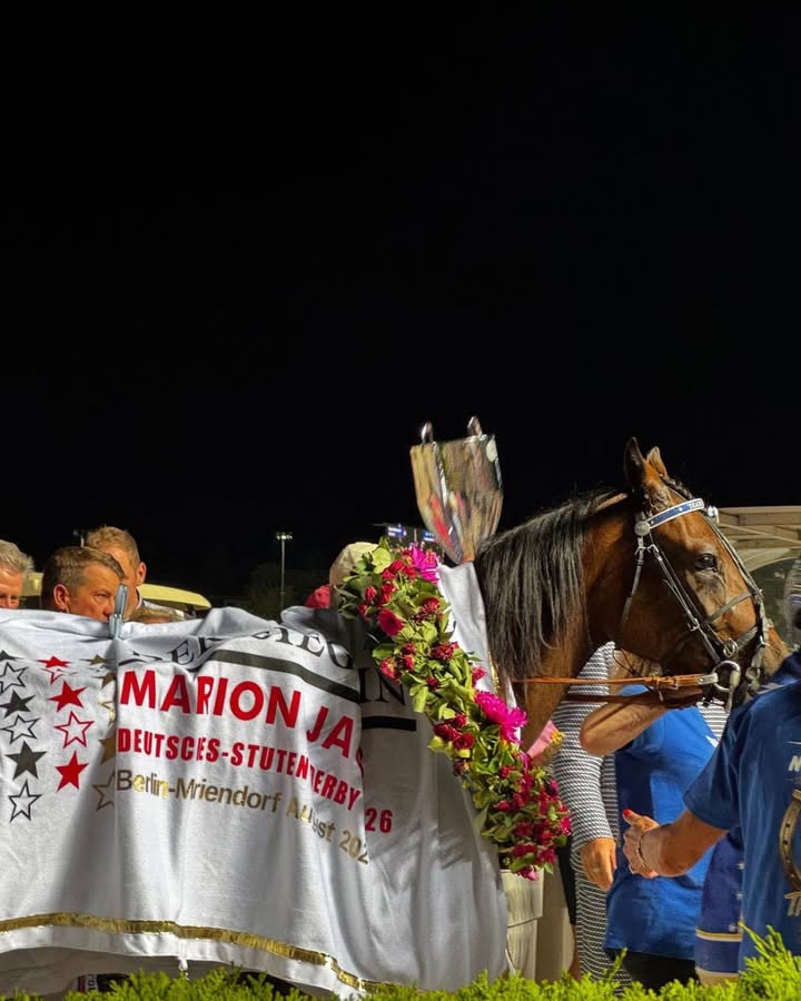 MON JOLIE gewinnt das deutsche Stuten Traber-Derby! Was für ein Herzschlagfinale in...