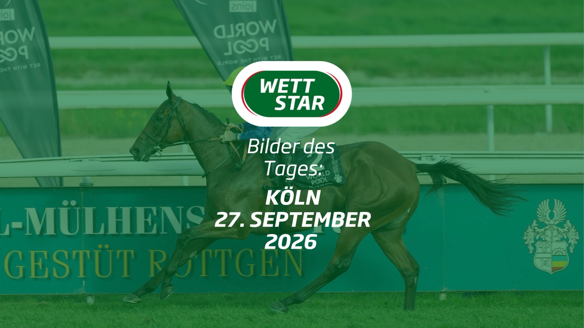 Am Sonntag stand der hochklassige Kölner Renntag rund um den Mehl-Mülhens-Stiftung 64....