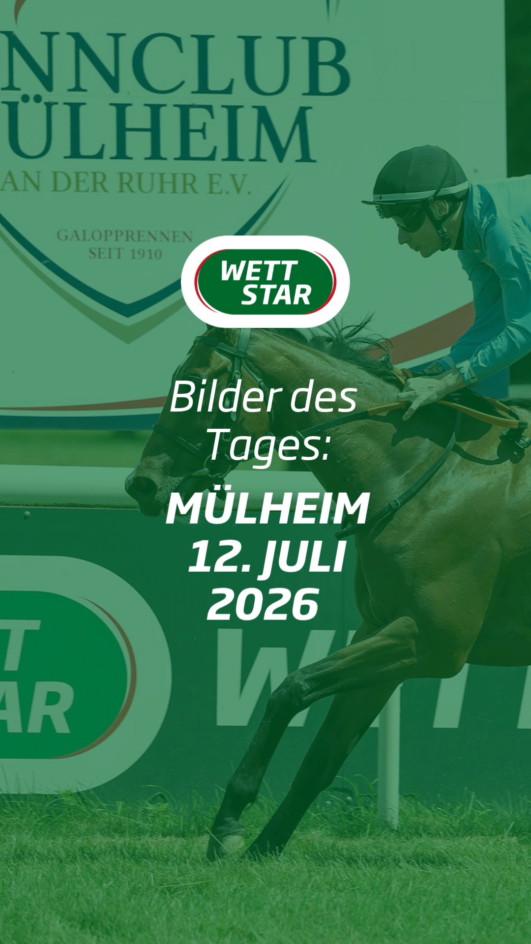 Wer will sich Anfang August zur neuen Königin krönen lassen? Diese Frage...