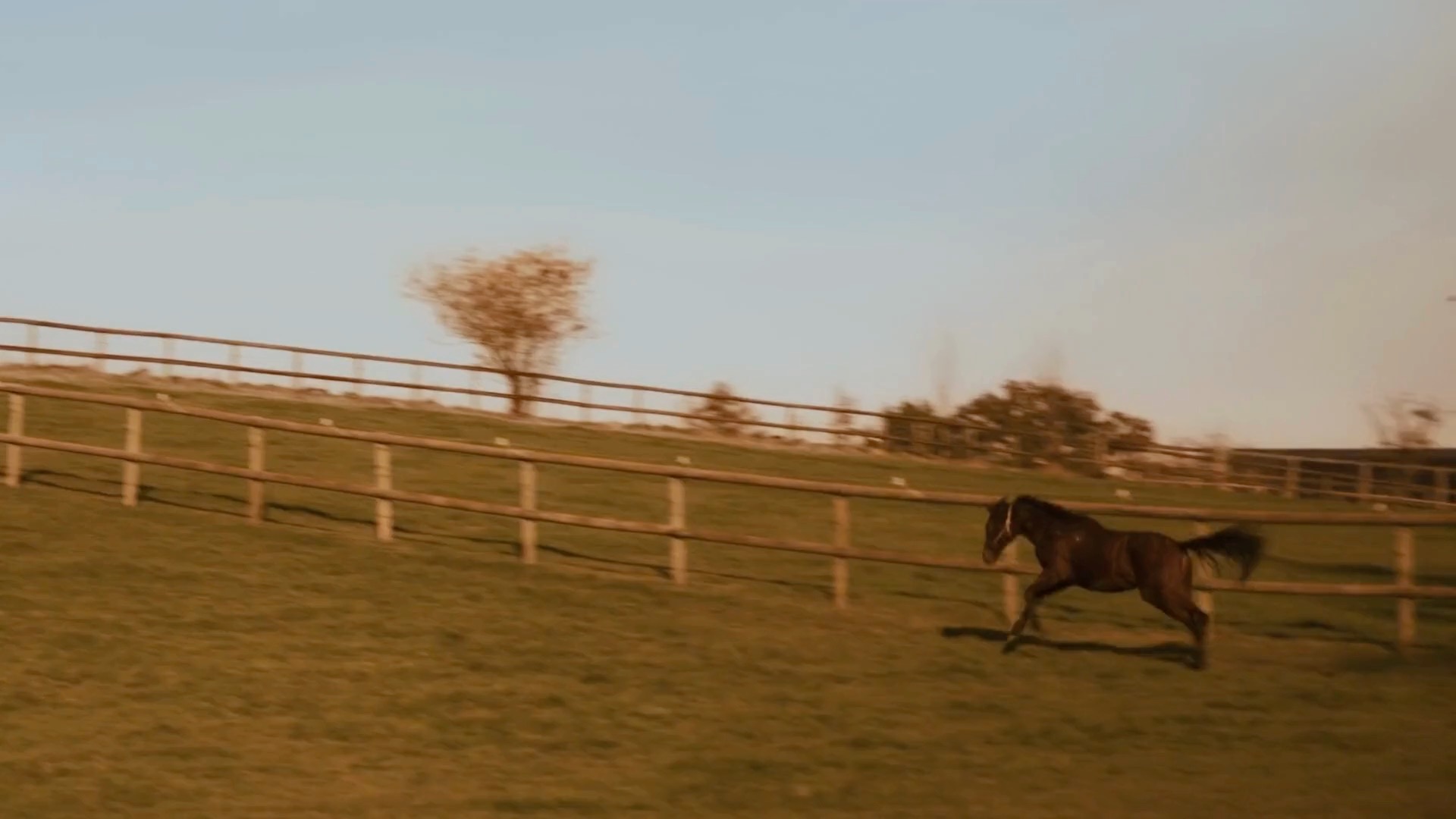Am Sonntag startet die grüne Saison in Mülheim. Aber nicht nur Rennen...