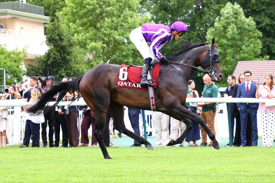Prominente Nachnennungen aus Irland! Am heutigen Montag hat der Ausnahme-Trainer Aidan O'Brien...