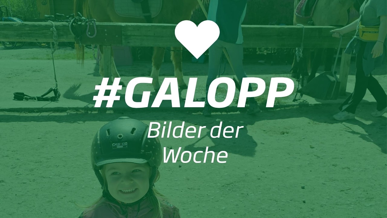 Die Bilder der Woche #galopp KW17