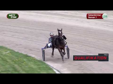 Livestream 17.04.2026 Gelsenkirchen