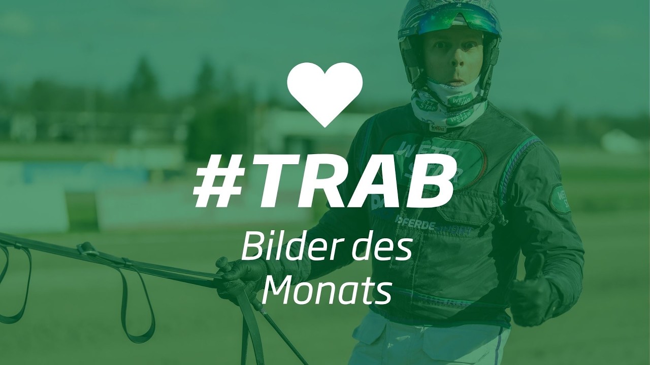 Bilder des Monats #trab Mai