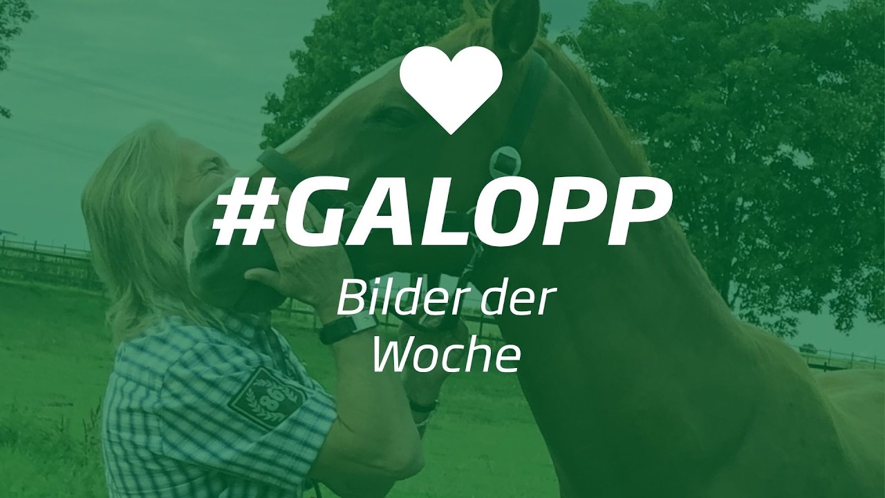 Die Bilder der Woche #galopp KW19