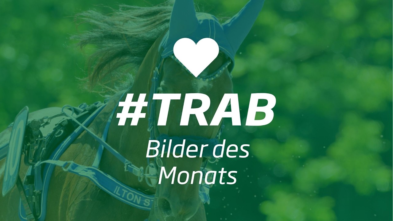 Bilder des Monats #trab Juli