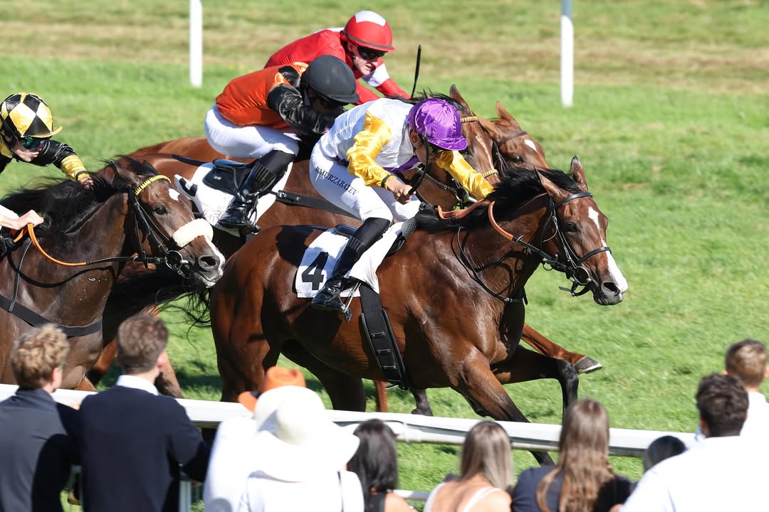 Suborics' Schützling BRIGHT LIGHT wird der einzige deutsche Vertreter im Prix de...