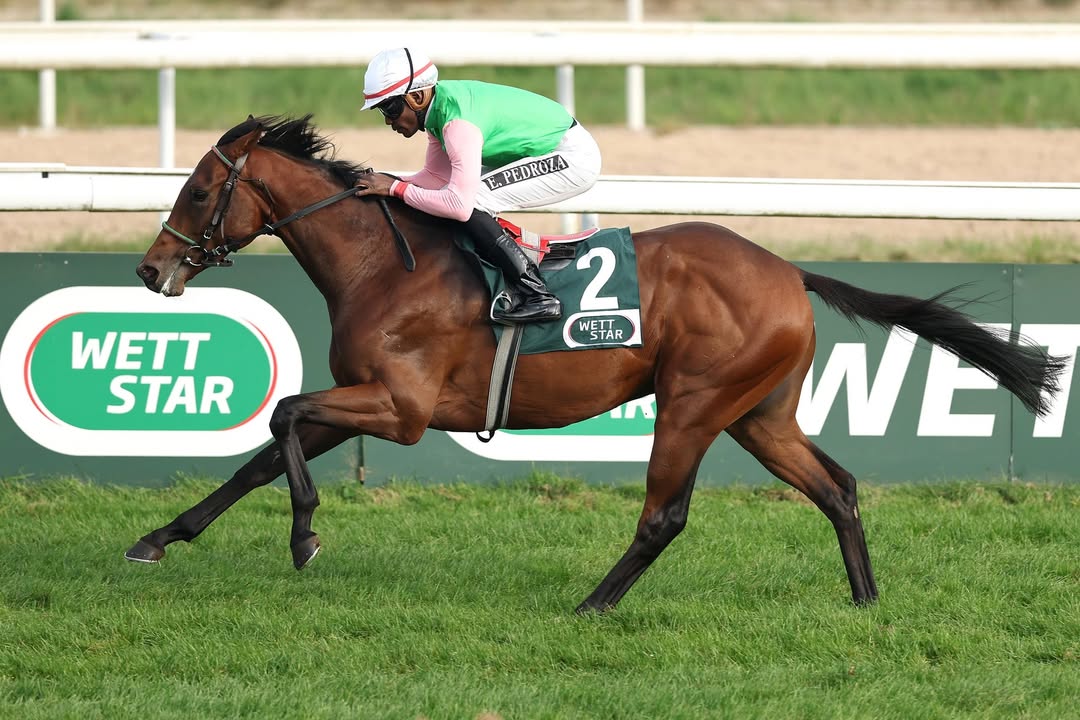 Gostam im Nashville Derby Pressemitteilung von Racing Manager Holger Faust: "Gostam hat...