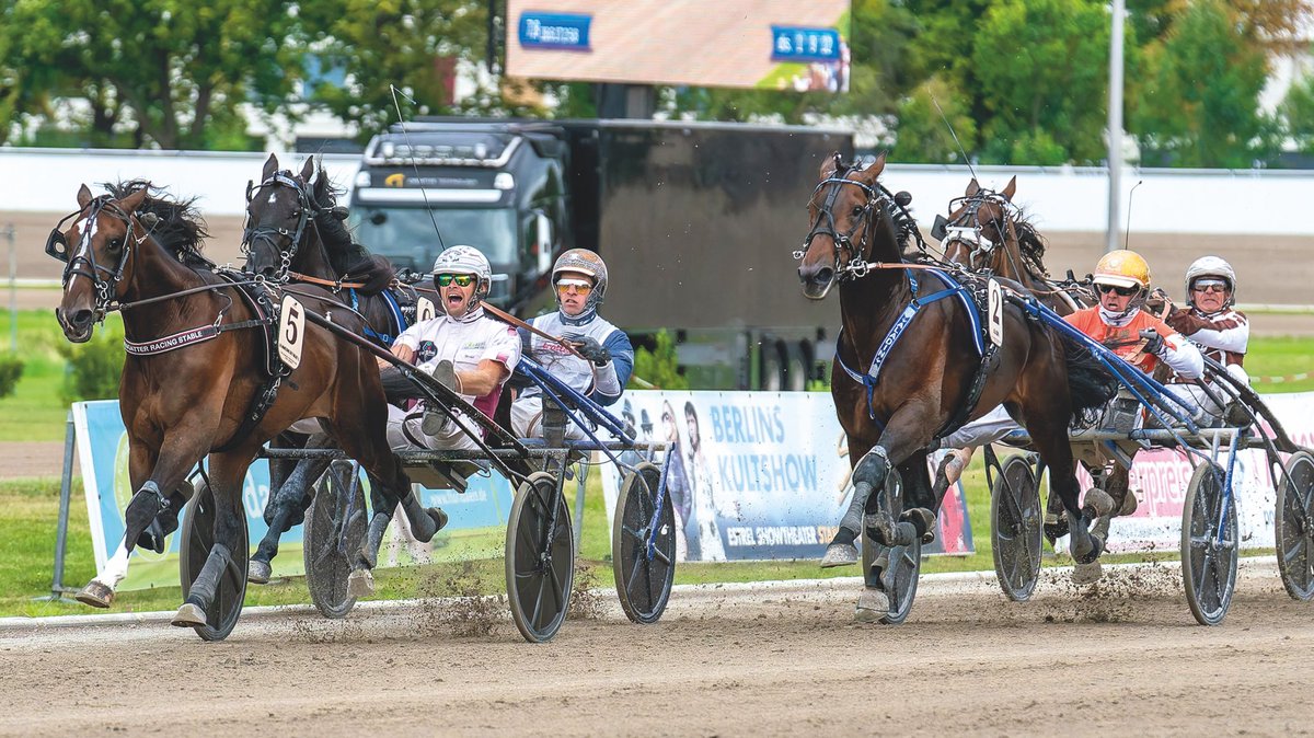 Zum 131. Deutsches Traber-Derby bieten wir eine Sonder-Aktion. Infos: https://www.wettstar-pferdewetten.de/news?bonusaction 📸 http://Traberpixx.de /Marius Schwarz. Ab 18 Jahren|Lizensierter Pferde­wetten-Anbieter gemäß White-List|Glücksspiel kann süchtig machen| Hilfe unter http://buwei.de