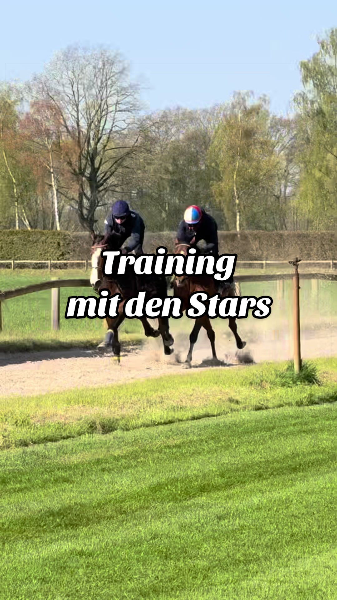 Ein Trainingstag mit dem aktuellen Star des Derbyjahrgangs, GOSTAM, beim Trainer Andreas Wöhler 🍀 #pferdesport #training #champion #pferderennen #team...